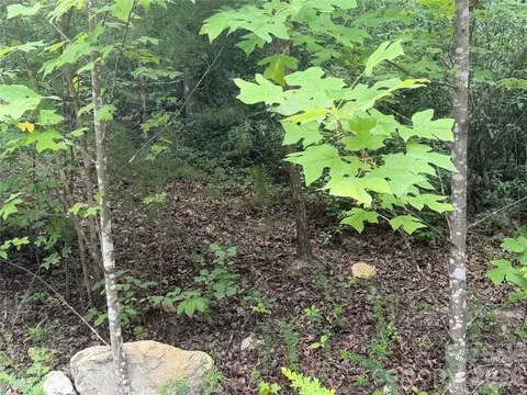6 Dobsons Knob Loop, Marion, NC 28752 photo 3