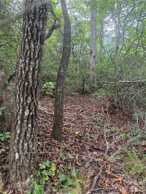 6 Dobsons Knob Loop, Marion, NC 28752 photo 4