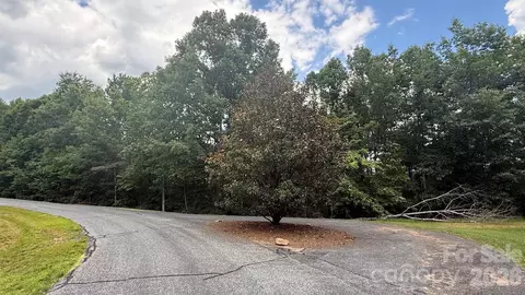 00 Fallen Tree 19 Ln #19, Mill Spring, NC 28756 photo 10