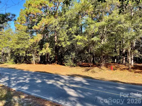 0 Hylan Ave, Hamlet, NC 28345 photo 3