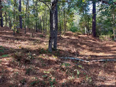 0 Hylan Ave, Hamlet, NC 28345 photo 6