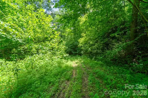 Indian Flats Drive, Sylva, NC 28779 photo 4