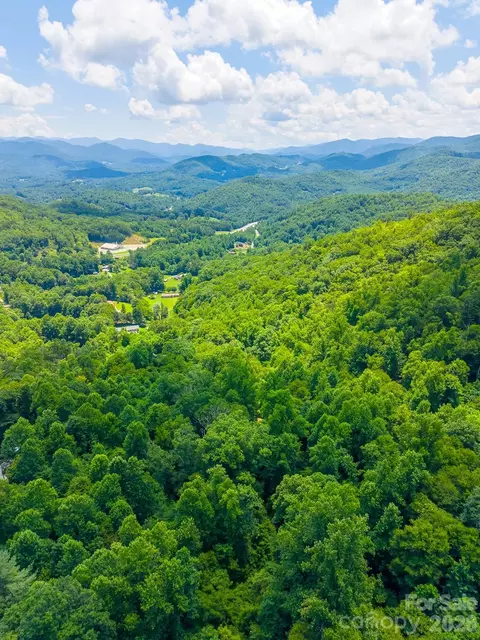 Indian Flats Drive, Sylva, NC 28779 photo 15