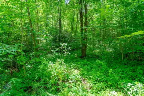 Indian Flats Drive, Sylva, NC 28779 photo 6