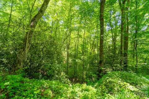 Indian Flats Drive, Sylva, NC 28779 photo 5