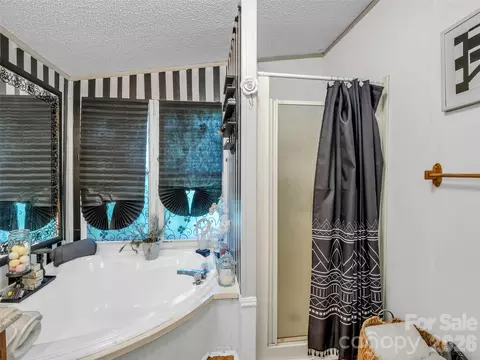 Bath - 771 Bishop Ln, Mill Spring, NC 28756 photo 2 of 2