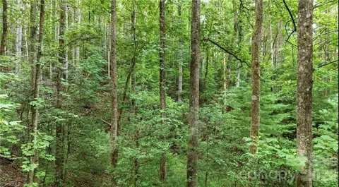 Other - 11526 Us Highway 421, Purlear, NC 28665 photo 29 of 34