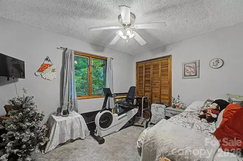 278 Crocus Ln, Sylva, NC 28779 photo 21