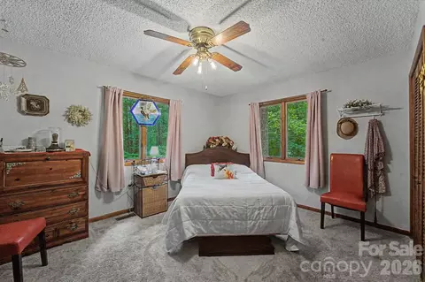 278 Crocus Ln, Sylva, NC 28779 photo 23