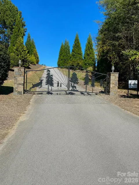 109 Spring Holw, Mill Spring, NC 28756 photo 30