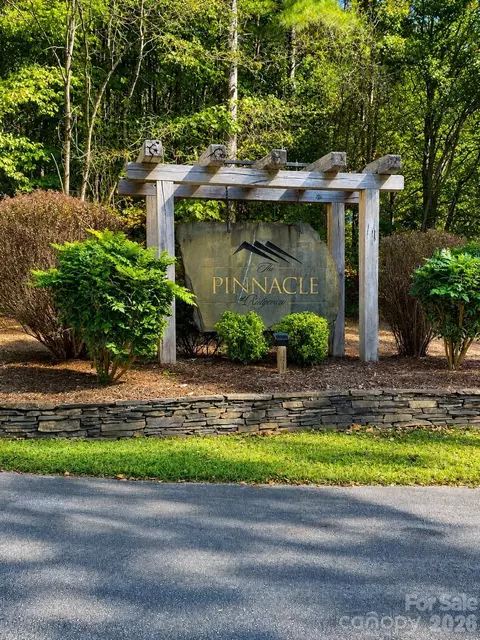 109 Spring Holw, Mill Spring, NC 28756 photo 29