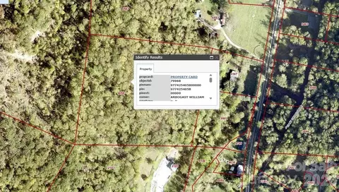 99999 Paint Fork Rd, Barnardsville, NC 28709