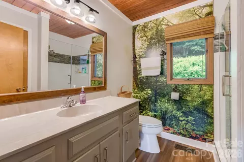 Bath - 38 Bee Tree Ln, Mars Hill, NC 28754 photo 2 of 4