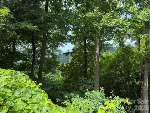 Spring Rock Road, Burnsville, NC 28714