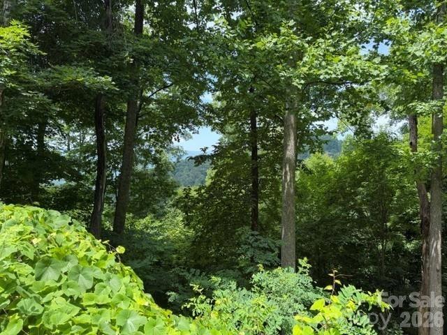 Spring Rock Road, Burnsville, NC 28714
