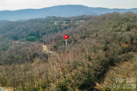 Shining Rock Path, Horse Shoe, NC 28742