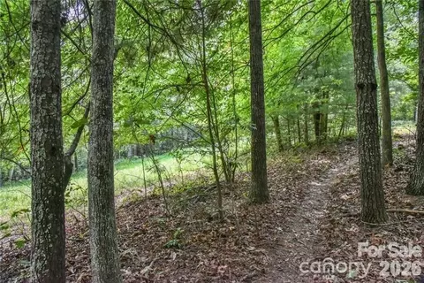 19 Laurel Loop Rd, Fairview, NC 28730 photo 3