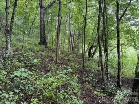 Meadow Fork Road, Hot Springs, NC 28743