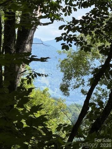110 Cabin 110 Rdg #110, Waynesville, NC 28785
