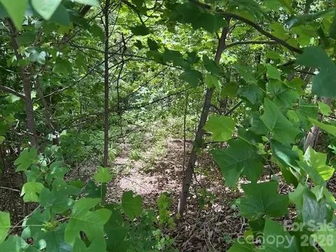 0 Azule Rdg, Bostic, NC 28018 photo 15