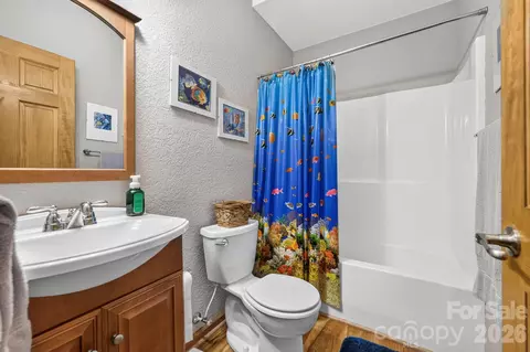 Bath - 149 Oriole Rd, Brevard, NC 28712 photo 6 of 6