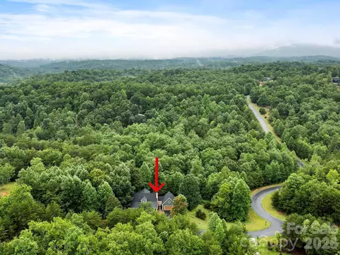 View/Area - 46 Indian Summer Ln, Mill Spring, NC 28756 photo 3 of 8