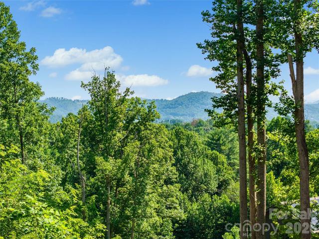 51 Wind Stone Dr, Asheville, NC 28804