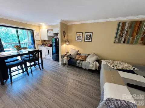 160 Whitney 35 Blvd #35, Lake Lure, NC 28746