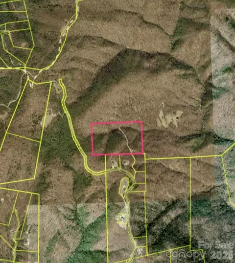 1802 Off Sr, Saluda, NC 28773 photo 1