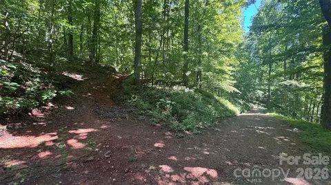 1802 Off Sr, Saluda, NC 28773 photo 5