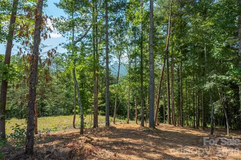 149 Riverbend Forest 6 Dr #6, Asheville, NC 28805