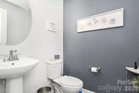 Other - 534 Madison Falls Ct, Fort Mill, SC 29708 photo 6 of 18