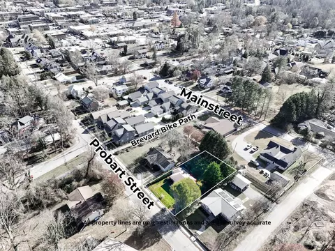View/Area - 331 Probart St, Brevard, NC 28712 photo 3 of 3