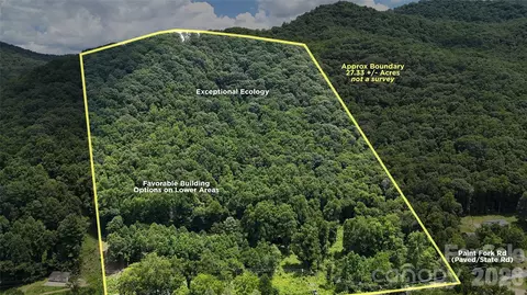 Paint Fork Road, Barnardsville, NC 28709