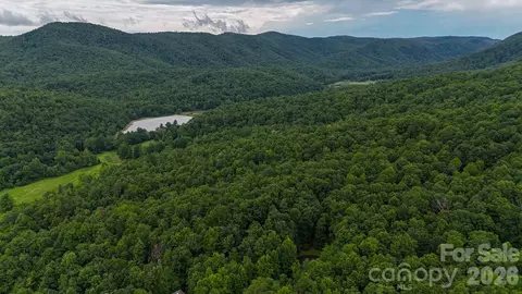 23 Big Bear Trail #23/24, Zirconia, NC 28790