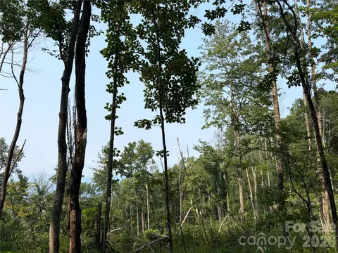 000 Catbrier Ln, Burnsville, NC 28714