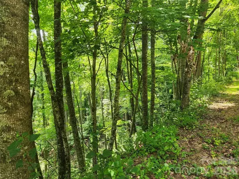 00 Green Ridge Falls Rd, Weaverville, NC 28787