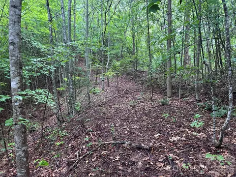 565 Pine Cone Trl, Marshall, NC 28753 photo 14