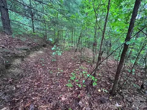 565 Pine Cone Trl, Marshall, NC 28753 photo 12