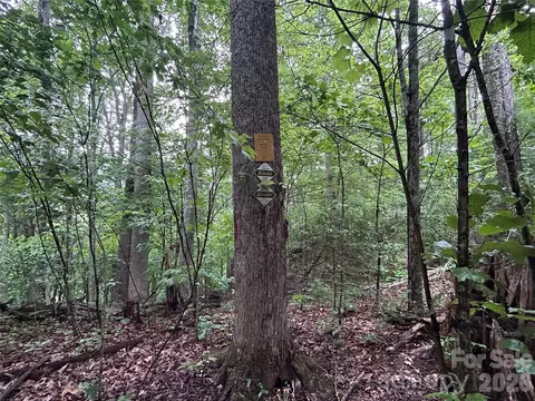 565 Pine Cone Trl, Marshall, NC 28753 photo 10