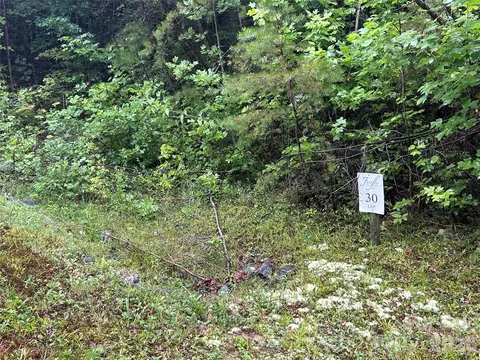 565 Pine Cone Trl, Marshall, NC 28753 photo 7