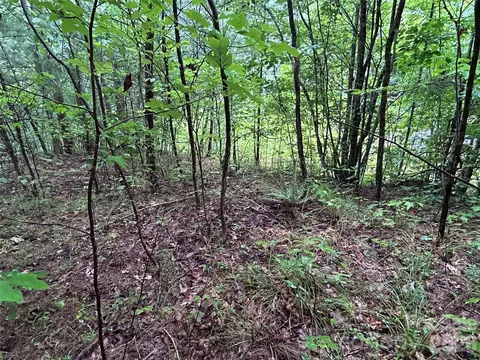 565 Pine Cone Trl, Marshall, NC 28753 photo 9