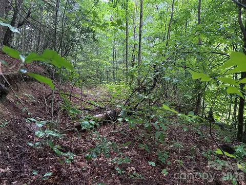 565 Pine Cone Trl, Marshall, NC 28753 photo 8