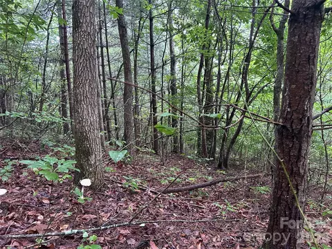 565 Pine Cone Trl, Marshall, NC 28753 photo 11