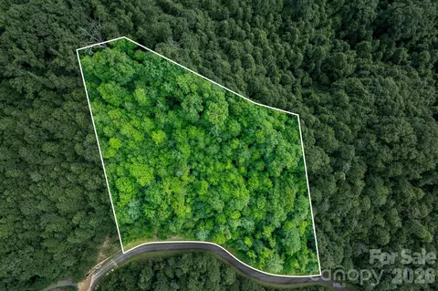 565 Pine Cone Trl, Marshall, NC 28753 photo 2
