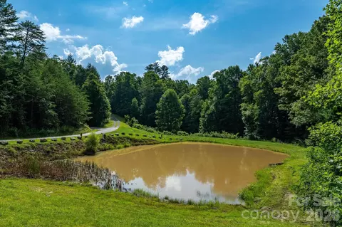 565 Pine Cone Trl, Marshall, NC 28753 photo 22
