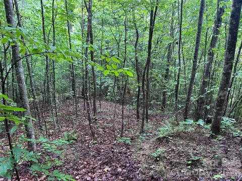 565 Pine Cone Trl, Marshall, NC 28753 photo 13
