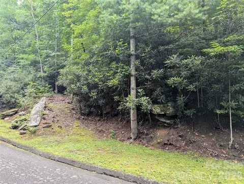 99999 Maryland 1426 Pl #1426, Montreat, NC 28757