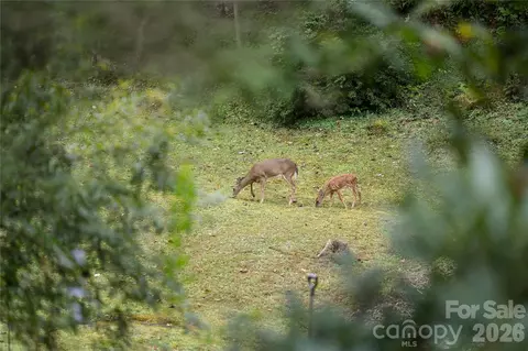 Other - 275 Knob Hill Estates Rd, Sylva, NC 28779 photo 1 of 14
