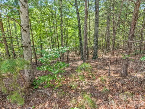 00 Lake Adger 60 Pkwy #60, Mill Spring, NC 28756 photo 17